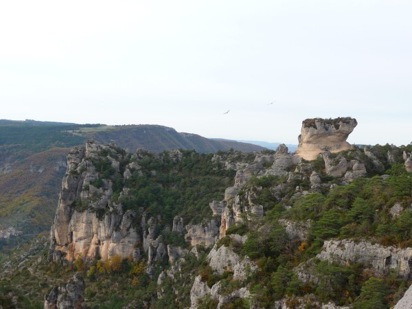 Panorama Panorama